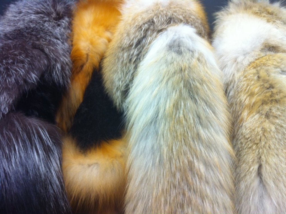 furs furs furs.JPG