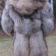 coyoteblanket