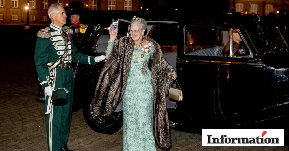 dronning sølvræv.jpg