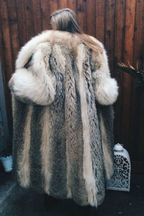 6a339be16ad6a4a58c3c7742d646942d--fabulous-fox-fox-fur.jpg