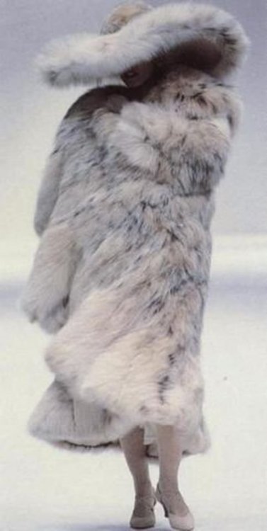 6a3dbe01a2f5bc99fc379e2bf3a04f93--fur-cape-lynx.jpg