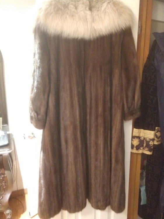 Furs(1292).thumb.jpg.01234017f5fa892ec977fd9bdada584a.jpg