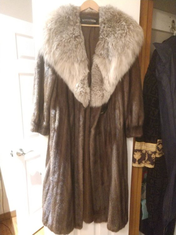 Furs(1293).thumb.jpg.82f4b491ca8034fad345ab3415a9ed19.jpg