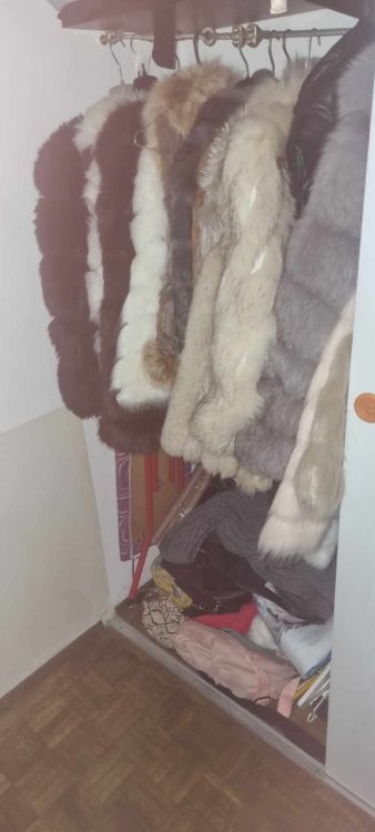 WhatsAppova datoteka Slika, 2024-03-21 ob 11.01.21_9a72152a.jpg