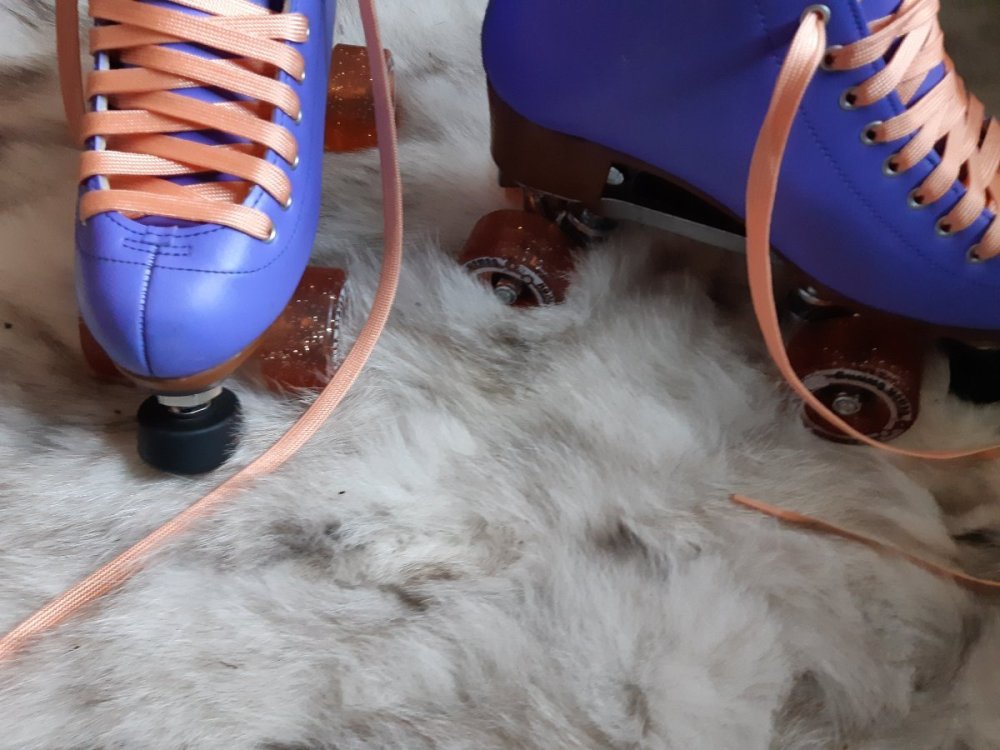 blue_fox_rug_roller_skates.thumb.jpg.b47aaa84d6ea8431736c061340f7d323.jpg