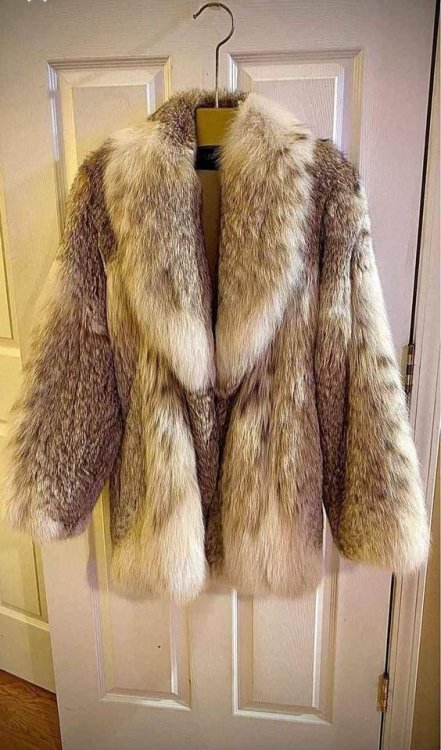 lynxjacket.jpg