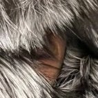 FoxFurStory_35