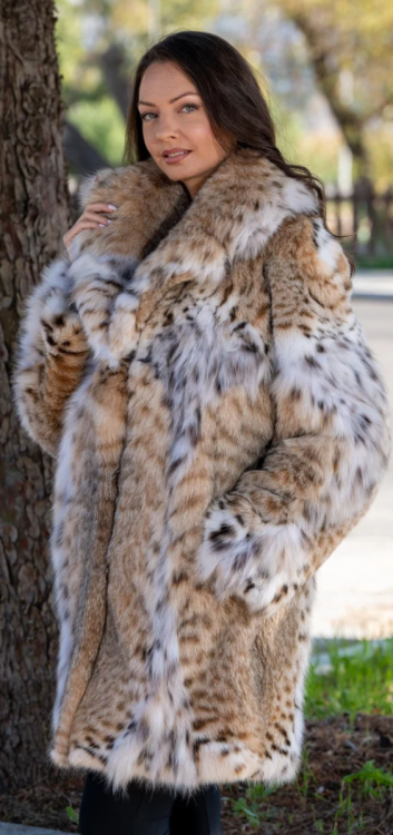 Screenshot_20250323-080516~2 (1).png