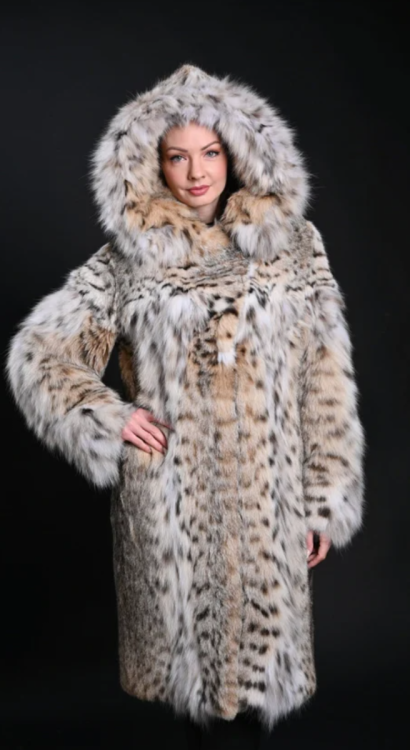 Screenshot_20250323-080525~2 (1).png