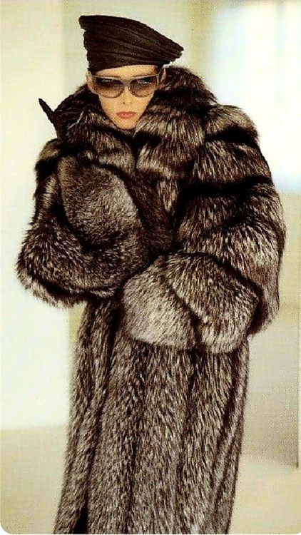 IMG_3313.png