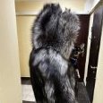 furlucious