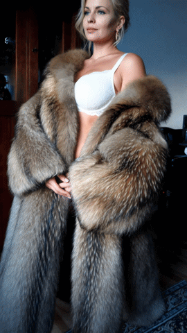 image.gif.ef4261754b58eac6c36d3f42c03e5921.gif