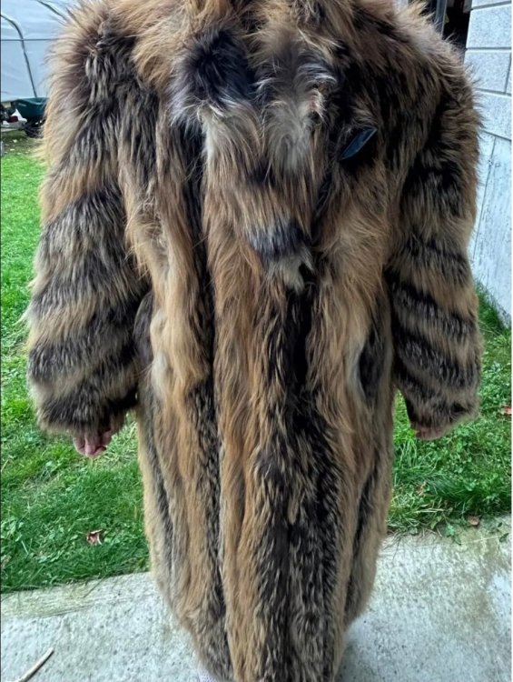 Screenshot_20261014_175642_DuckDuckGo.thumb.jpg.3923afac2929c6e4eae6a1e140efba6b.jpg